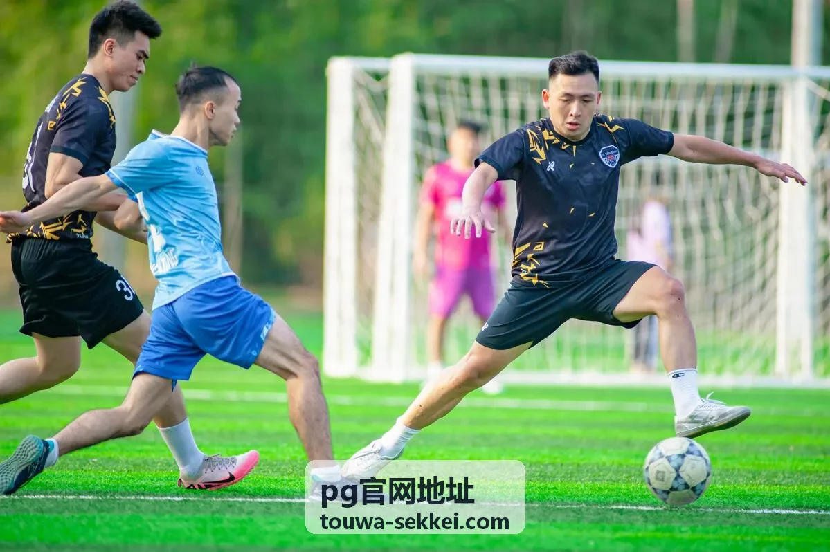 pg官网地址等级变更与续期说明